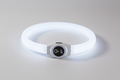 LED Dog Collar